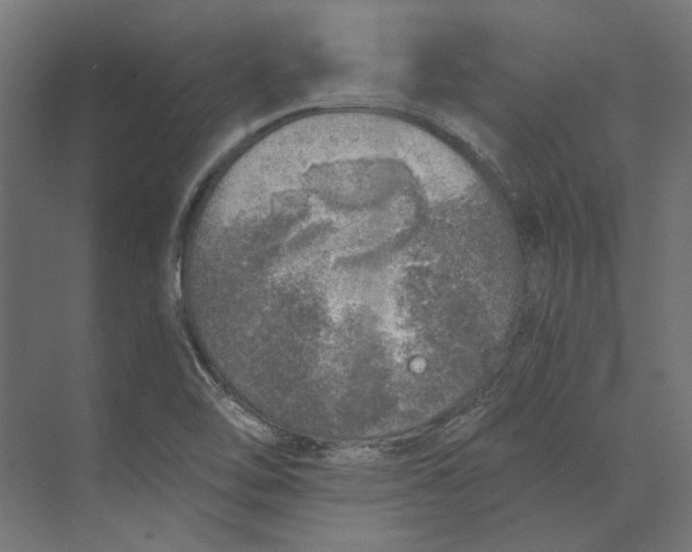 X0000073841462200609071528