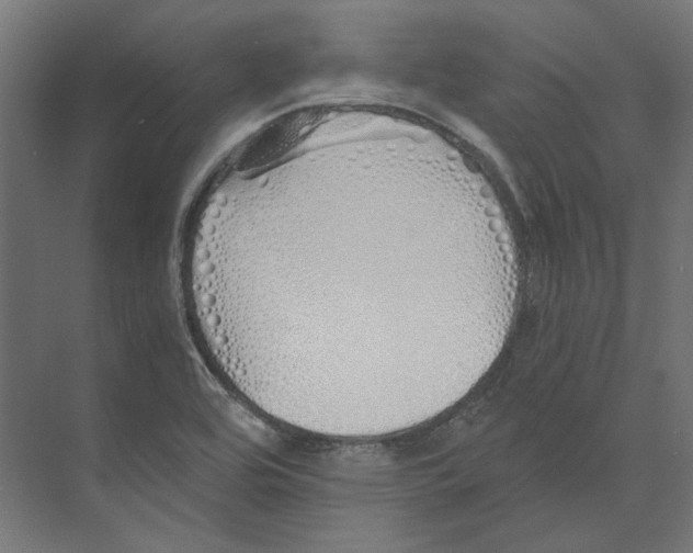 X0000073841464200609071528