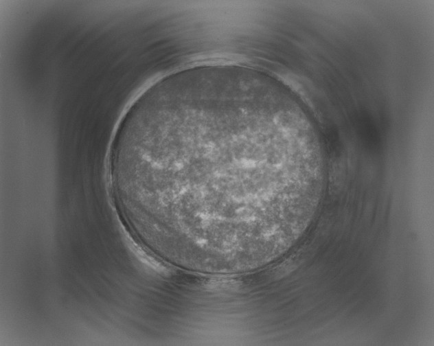 X0000073841466200609071528