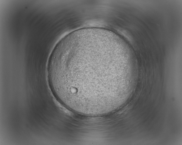 X0000073841471200609071528