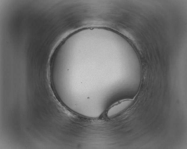 X0000073841472200609071528