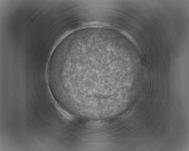 X0000073841474200609071528