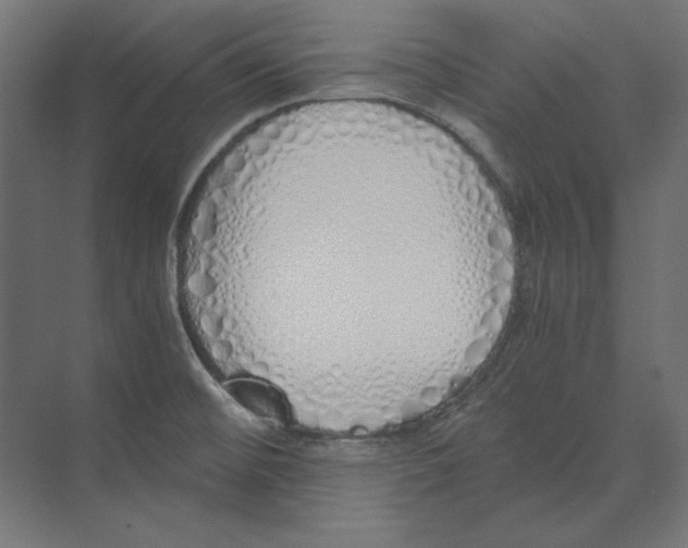 X0000073841476200609071528