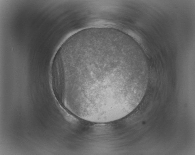 X0000073841478200609071528