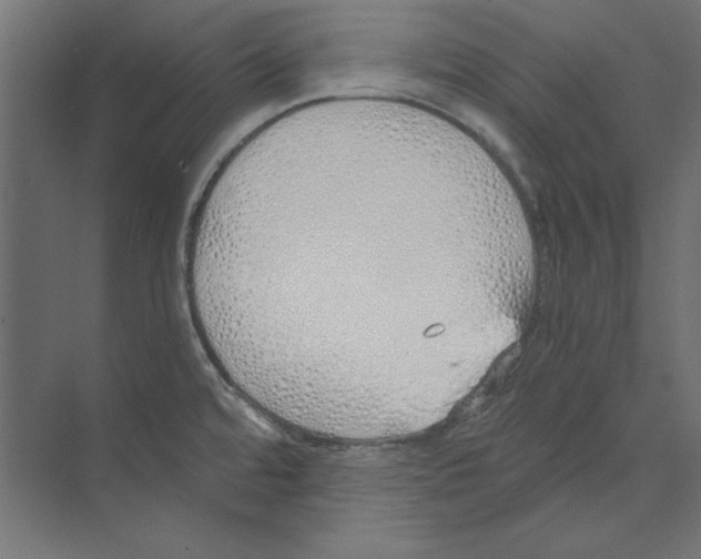 X0000073841480200609071528