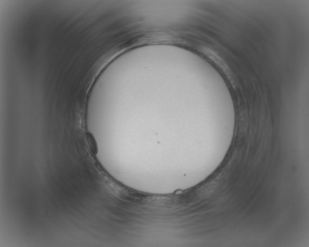 X0000073841481200609071528