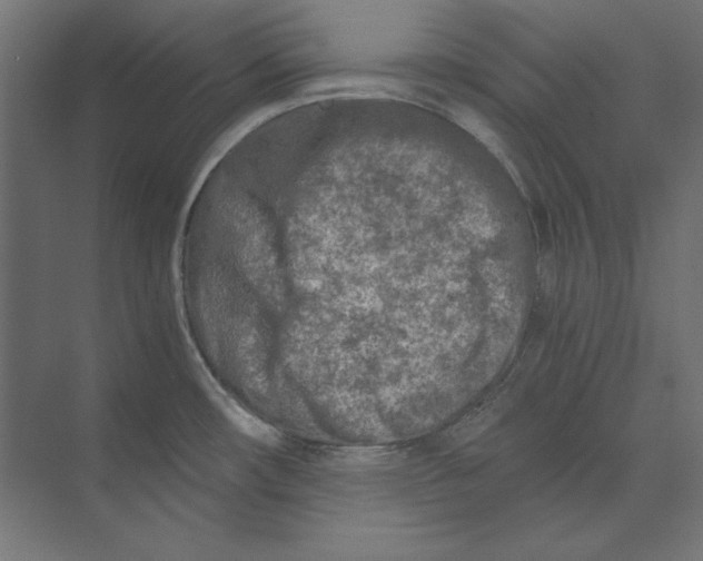 X0000073841482200609071528