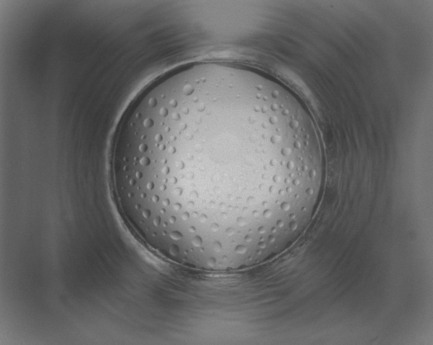 X0000073841483200609071528