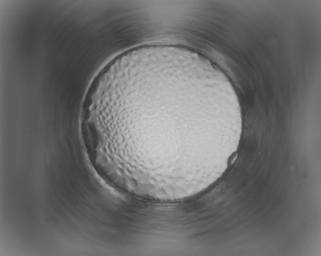 X0000073841484200609071528