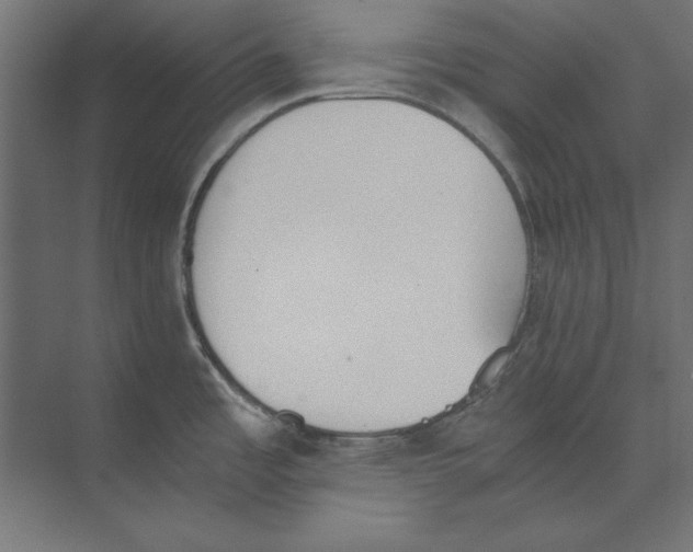 X0000073841485200609071528