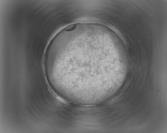 X0000073841486200609071528