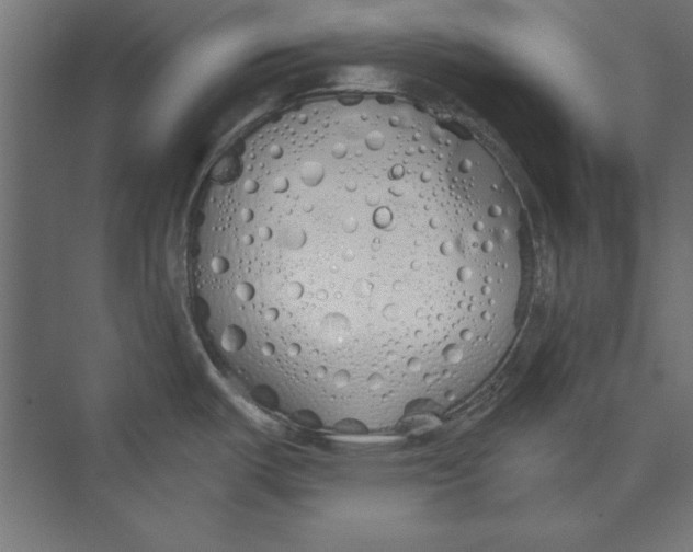 X0000073841487200609071528