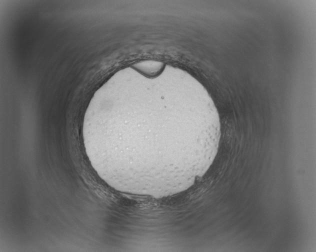 X0000073841489200609071527