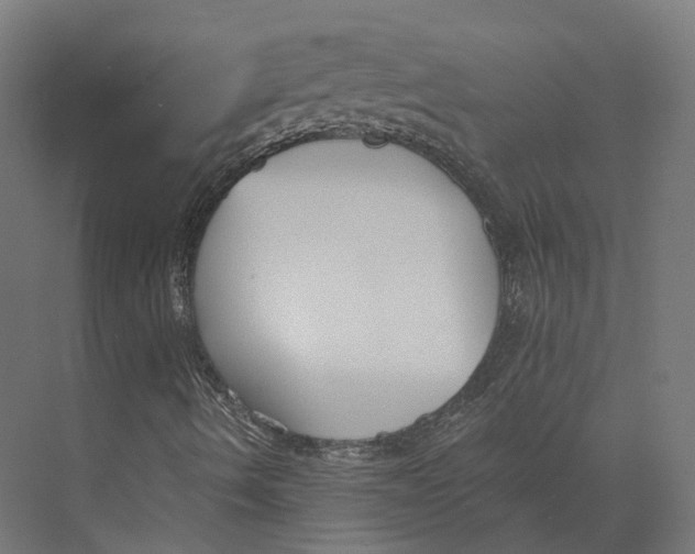 X0000073841490200609071527