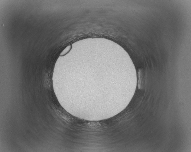 X0000073841491200609071527