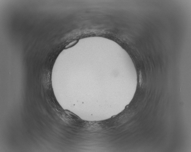 X0000073841492200609071527