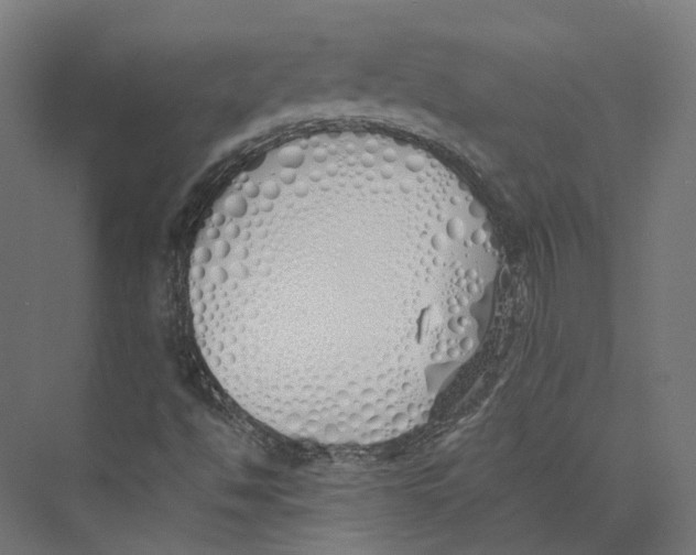 X0000073841494200609071527