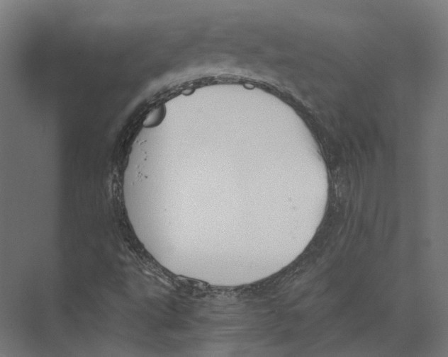 X0000073841495200609071527