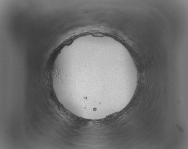 X0000073841496200609071527