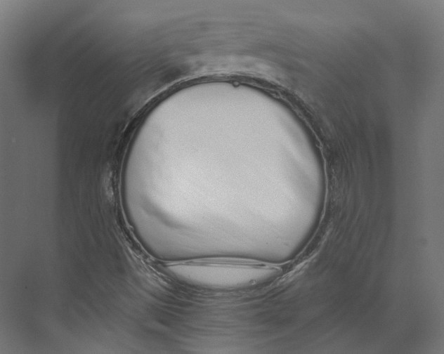 X0000073841497200609071527