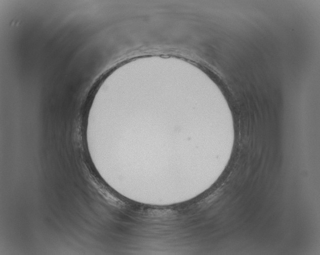 X0000073841498200609071527