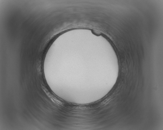 X0000073841499200609071527