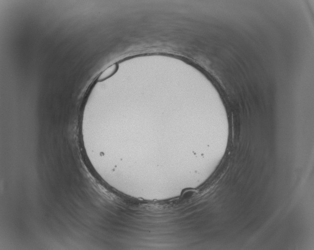 X0000073841500200609071527