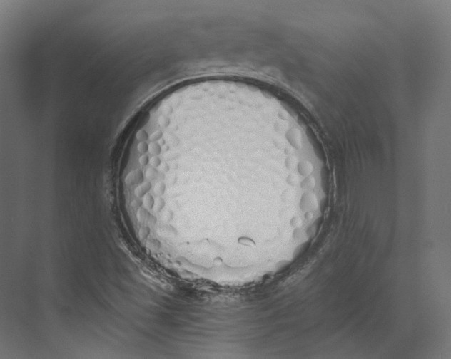 X0000073841501200609071527