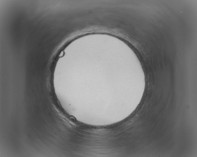 X0000073841502200609071527