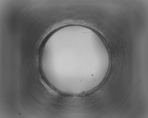 X0000073841503200609071527