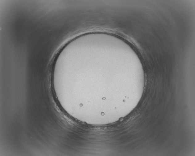 X0000073841504200609071527