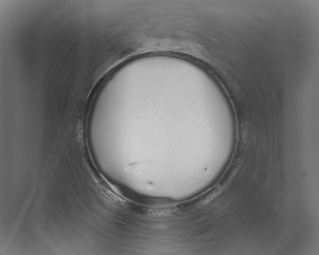 X0000073841505200609071527