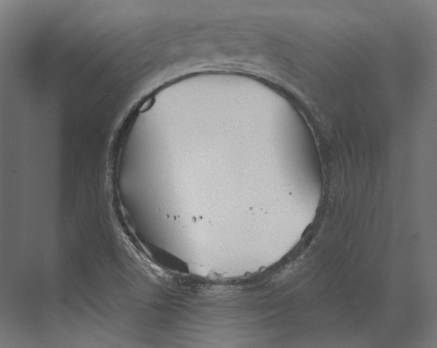 X0000073841506200609071527