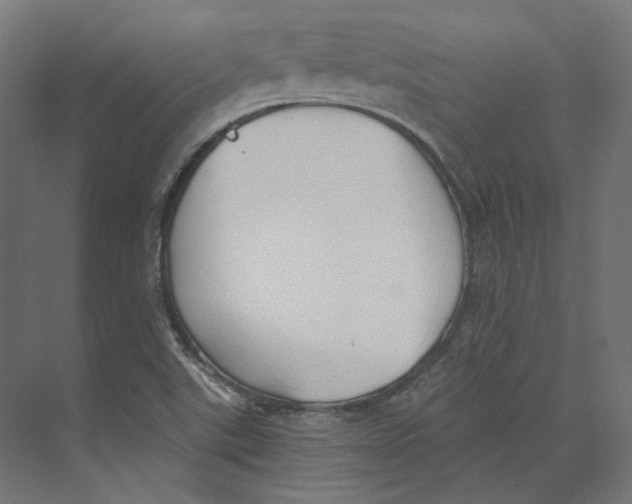 X0000073841507200609071527