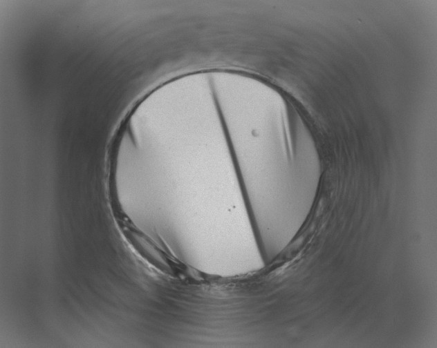 X0000073841508200609071527