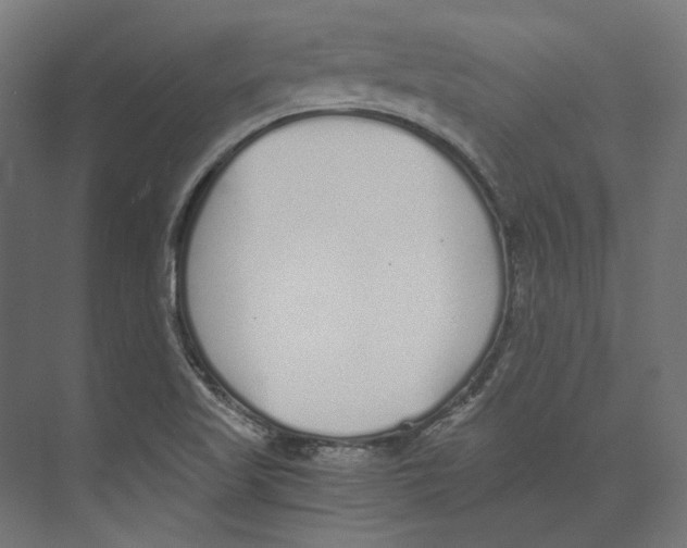 X0000073841509200609071527