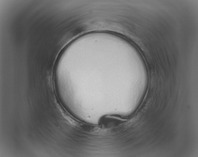 X0000073841513200609071527