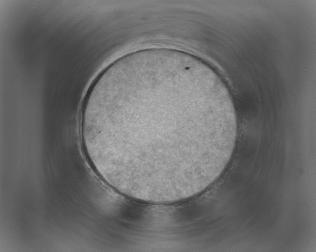 X0000073841514200609071527