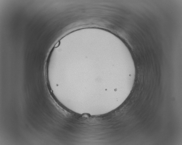 X0000073841516200609071527