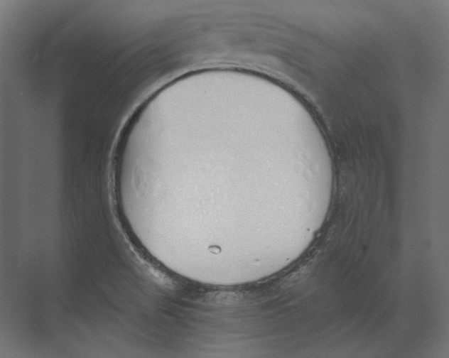 X0000073841517200609071527