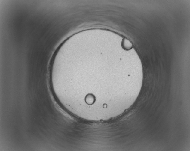 X0000073841518200609071527