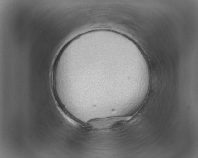 X0000073841519200609071527