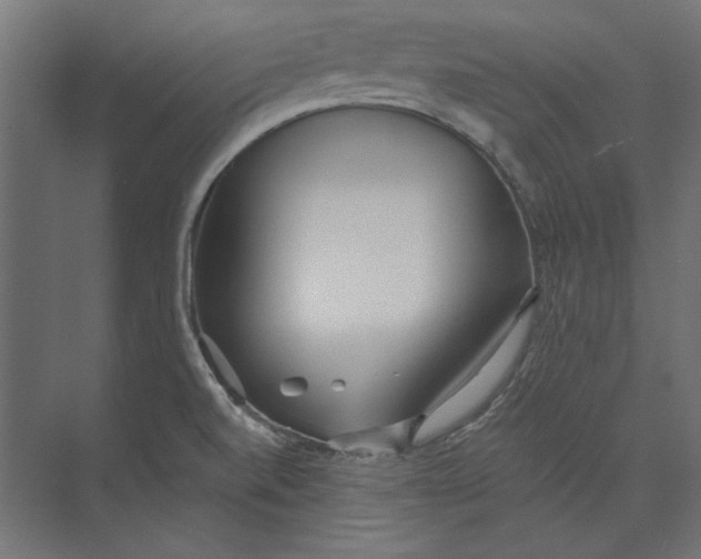 X0000073841520200609071527