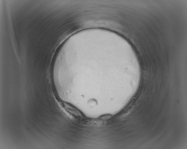 X0000073841521200609071527