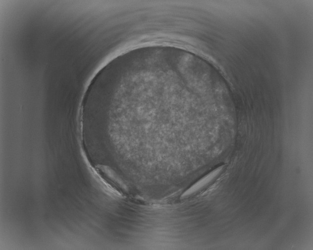 X0000073841522200609071527