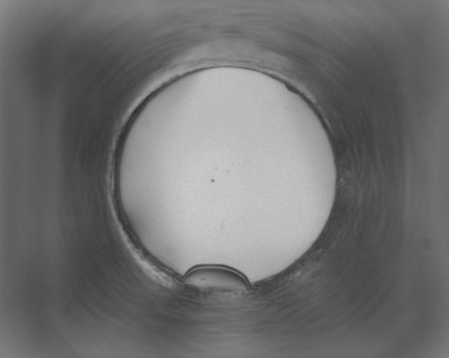 X0000073841523200609071527