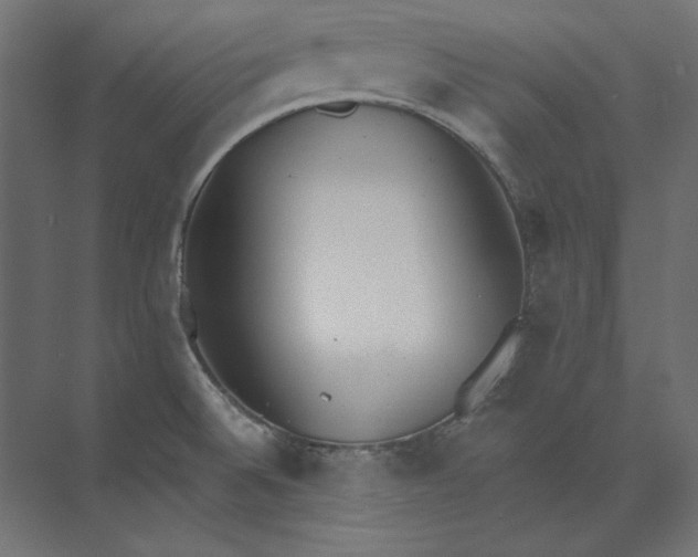 X0000073841524200609071528