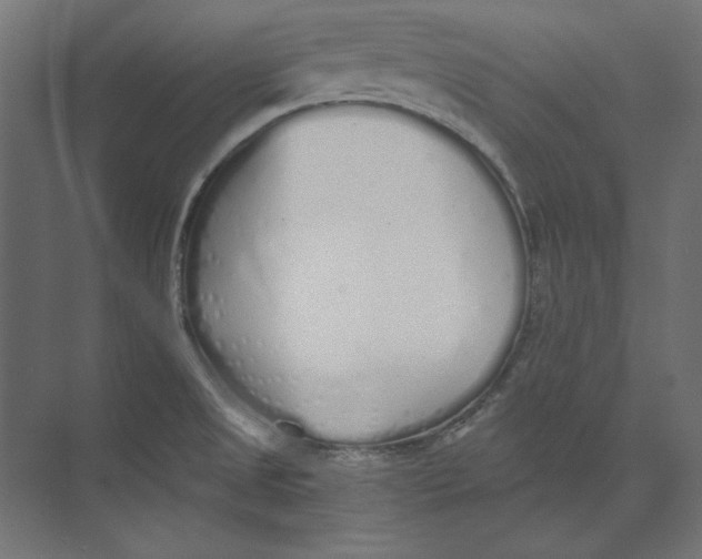 X0000073841525200609071528