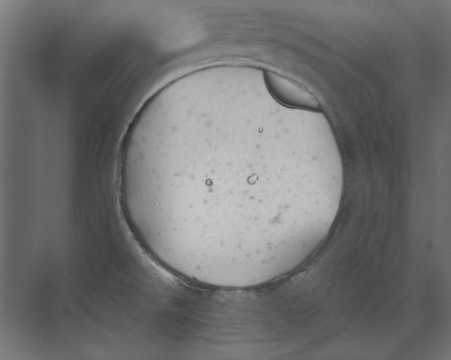 X0000073841526200609071528