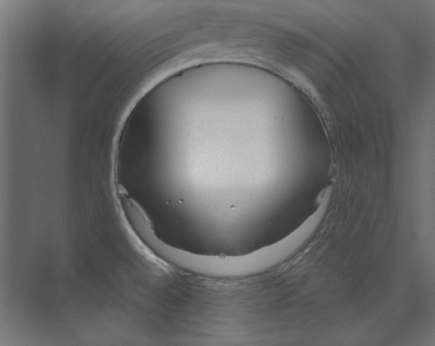 X0000073841528200609071528